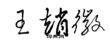 駱恆光王趙徽草書個性簽名怎么寫