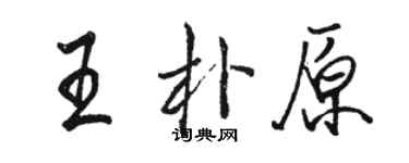 駱恆光王朴原行書個性簽名怎么寫