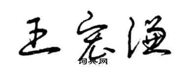 曾慶福王宏謙草書個性簽名怎么寫
