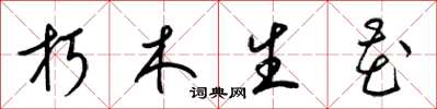 梁錦英朽木生花草書怎么寫