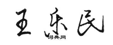 駱恆光王樂民行書個性簽名怎么寫