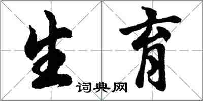 胡問遂生育行書怎么寫