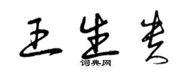 曾慶福王生貴草書個性簽名怎么寫