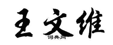 胡問遂王文維行書個性簽名怎么寫