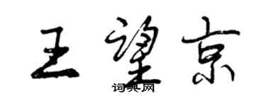 曾慶福王望京行書個性簽名怎么寫
