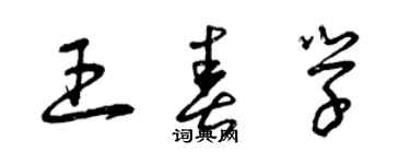 曾慶福王春學草書個性簽名怎么寫