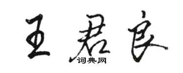 駱恆光王君良行書個性簽名怎么寫