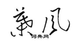 駱恆光葉風草書個性簽名怎么寫