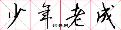 少年老成怎么寫好看