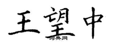 丁謙王望中楷書個性簽名怎么寫