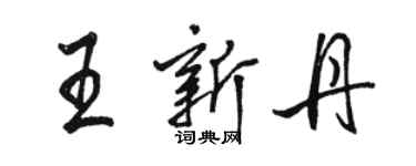 駱恆光王新丹行書個性簽名怎么寫