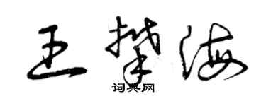 曾慶福王攀海草書個性簽名怎么寫