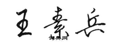 駱恆光王素兵行書個性簽名怎么寫