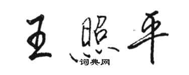 駱恆光王照平行書個性簽名怎么寫