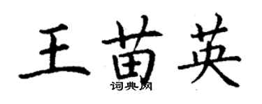 丁謙王苗英楷書個性簽名怎么寫