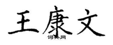 丁謙王康文楷書個性簽名怎么寫