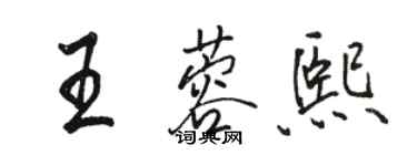 駱恆光王蓉熙行書個性簽名怎么寫