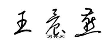 梁錦英王晨燕草書個性簽名怎么寫