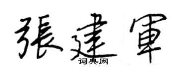 王正良張建軍行書個性簽名怎么寫