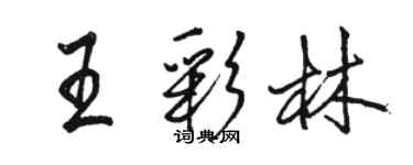 駱恆光王彩林行書個性簽名怎么寫