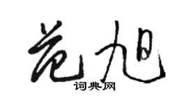 駱恆光范旭草書個性簽名怎么寫