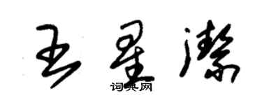 朱錫榮王星潔草書個性簽名怎么寫