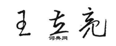 駱恆光王立亮草書個性簽名怎么寫