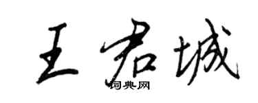王正良王君城行書個性簽名怎么寫
