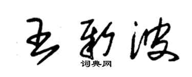 朱錫榮王新波草書個性簽名怎么寫