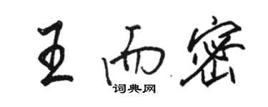 駱恆光王而密行書個性簽名怎么寫