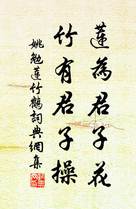 頭毛鬅鬙面白皺，老夫笑作嬰兒看 詩詞名句