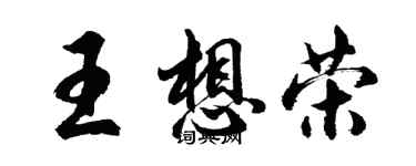 胡問遂王想榮行書個性簽名怎么寫