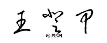 梁錦英王登甲草書個性簽名怎么寫