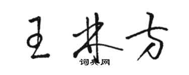 駱恆光王林方草書個性簽名怎么寫