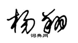 朱錫榮楊翔草書個性簽名怎么寫