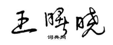 曾慶福王曙曉草書個性簽名怎么寫
