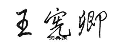 駱恆光王憲卿行書個性簽名怎么寫