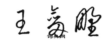 駱恆光王劍野草書個性簽名怎么寫
