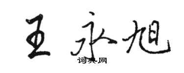 駱恆光王永旭行書個性簽名怎么寫