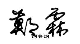 朱錫榮鄭霖草書個性簽名怎么寫