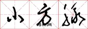劉少英小方脈草書怎么寫