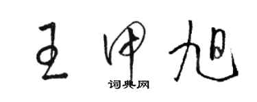 駱恆光王甲旭草書個性簽名怎么寫