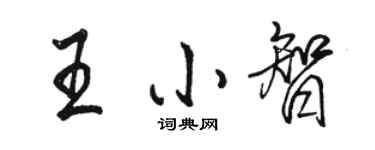 駱恆光王小智行書個性簽名怎么寫