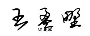 朱錫榮王盈野草書個性簽名怎么寫