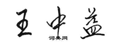 駱恆光王中益行書個性簽名怎么寫