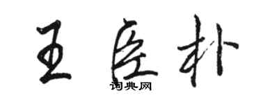 駱恆光王臣朴行書個性簽名怎么寫