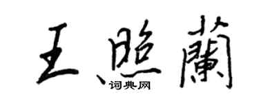 王正良王照蘭行書個性簽名怎么寫