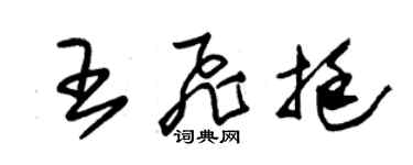 朱錫榮王飛挺草書個性簽名怎么寫