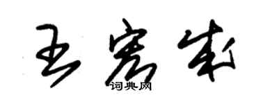 朱錫榮王宏成草書個性簽名怎么寫