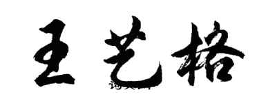 胡問遂王藝格行書個性簽名怎么寫